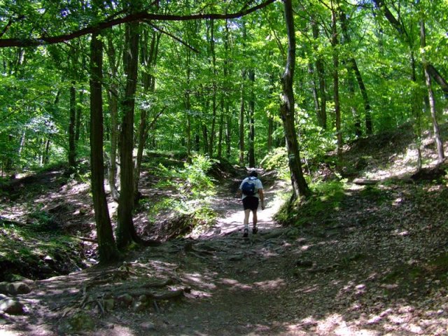DSCF0091 (Medium)